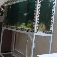 معاوضه ویافروش اکواریوم