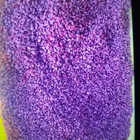 زرشک پفکی و زیر تالاری موجود است|عمدهفروشی|قائن, |دیوار