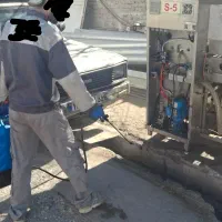 سمپاشی حشرات موزی
