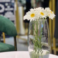 استخدام فروشنده خانم