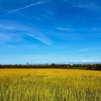 زمین ذوات غرب شهرکی 287 متر ویو عالی|فروش زمین و ملک کلنگی|چالوس, |دیوار