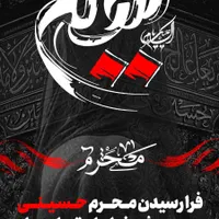 گرافیست طراحی گرافیک حرفه ای فوتوشاپ بنر لوگو کاور|خدمات رایانه‌ای و موبایل|تهران, کامرانیه|دیوار