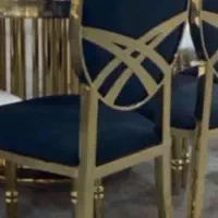 صندلی تالاری فلزی مدل پترا /تالاری/رستورانی/تالار