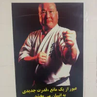 تشک ورزشی|تجهیزات ورزشی|صفادشت, |دیوار