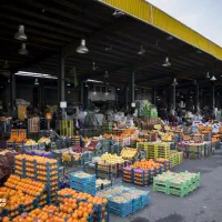 اجاره-شیش-دانگ-میدان-تره-بار-با-بهترین-موقعیت