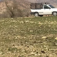 وانت تلفنی حمل بار درون شهری و بیرون شهری