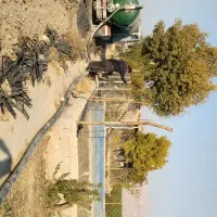 تخلیه چاه فاضلاب و،|خدمات پیشه و مهارت|فیروزآباد (فارس), |دیوار