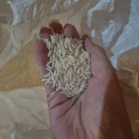برنج ایرانی طارم