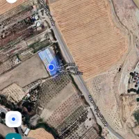 کارگرمرغداری