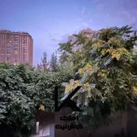 ۱۲۰متر ۲خواب تکواحدی شیراز جنوبی|اجارهٔ آپارتمان|تهران, شیراز|دیوار