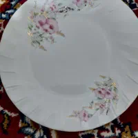 بشقاب ودوست چینی توس|ظروف سرو و پذیرایی|اصفهان, خانه اصفهان|دیوار