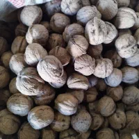 گردو درجه یک|خوردنی و آشامیدنی|اسدآباد, |دیوار