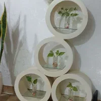 استند گل