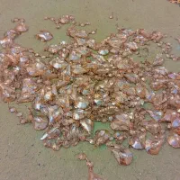 کریستال لوستر در حد نو|لوستر و چراغ آویز|تهران, والفجر (افسریه)|دیوار