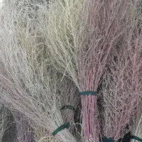 نظافتچی خانم نیازمندیم