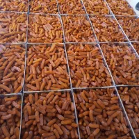 گوشفیل بامیه عربی و بامیه فری