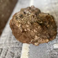 سنگ سلستین بژ قهوه ای|ماهی|دالاهو, |دیوار