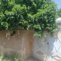 فروش-150-متر-ویلایی-خیام-بهارستان-3