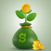 سرمایه ، وام