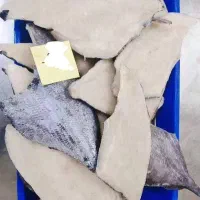 ماهی فیله حلوا سیاه  شیر