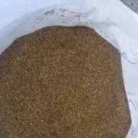 بذرشبدر ایرانی