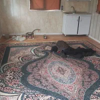 کانکس ویلایی با ورق سنگین|مصالح و تجهیزات ساختمان|بومهن, |دیوار