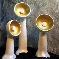 آباژور راگبل