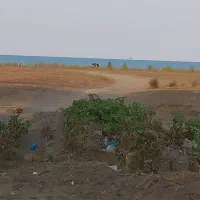 زمین مسکونی ۴۰۵ متری با پروانه/بر اول دریا|فروش زمین و ملک کلنگی|چاف و چمخاله, |دیوار