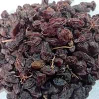 کشمش فروشی|خوردنی و آشامیدنی|ملکان, |دیوار