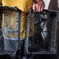 سبد اتوبوسی مخصوص قارچ