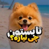 استخدام ادمین تولید محتوا و اینستاگرام|استخدام هنری و رسانه|اسلام‌شهر, |دیوار