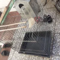 قفس پرنده