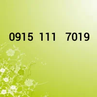 0915-111-7019
