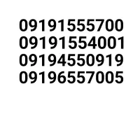 ۰۹۱۹.۴۵۵.۰۹۱۹