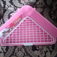 توالت خرگوش