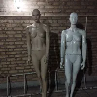 مانکن و سر مانکن