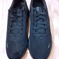 کفش اورجینال پوما