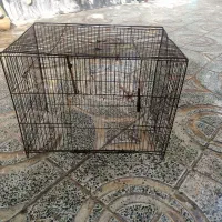 قفس
