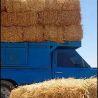 10تن پخل پرس گندم