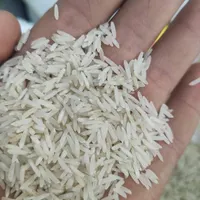 برنج هاشمی|خوردنی و آشامیدنی|رباط‌کریم, |دیوار