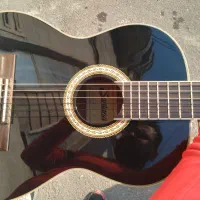 گیتار سانتانا پیکاپ فیشمن بلاک دوتیکه