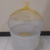 قفس پرنده وعروس هلندی