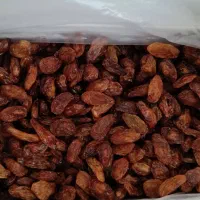 فروش خشکبار بصورت کلی و جزئی ارسال از کاشمر|خوردنی و آشامیدنی|مشهد, کوی سیدی|دیوار