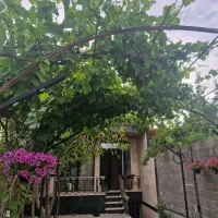 سرسبز-بافت-کنتور-استخر-سرپوشیده-جواز
