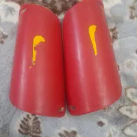 ساق قرمز رنگ چمنی