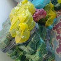 چوبکار عمده قیمت مناسب