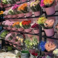رگالیست|فروشگاه و مغازه|بندرعباس, |دیوار
