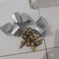 سر شیر و مغز شیر