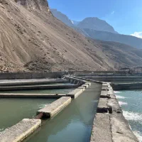 فروش پرورش ماهی با بهترین آب. هوا و لوکیشن