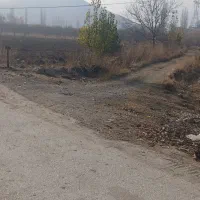 باغچه سیب وشلیل